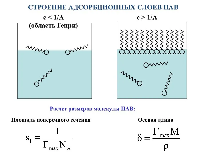 СТРОЕНИЕ АДСОРБЦИОННЫХ СЛОЕВ ПАВ с (область Генри) с > 1/A Расчет