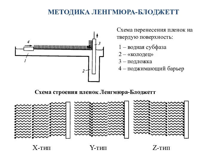 МЕТОДИКА ЛЕНГМЮРА-БЛОДЖЕТТ Схема перенесения пленок на твердую поверхность: 1 – водная