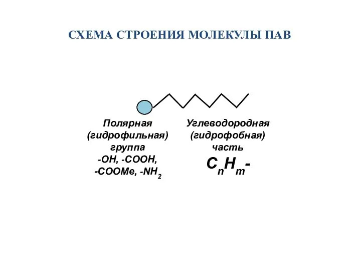 СХЕМА СТРОЕНИЯ МОЛЕКУЛЫ ПАВ