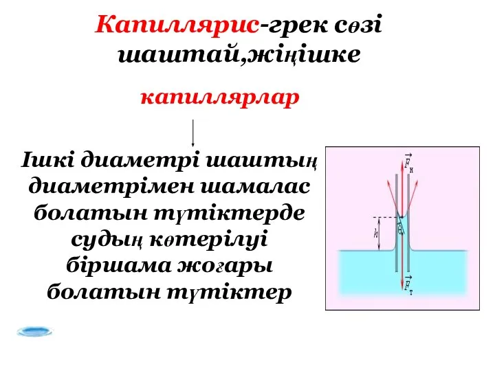 капиллярлар Ішкі диаметрі шаштың диаметрімен шамалас болатын түтіктерде судың көтерілуі біршама