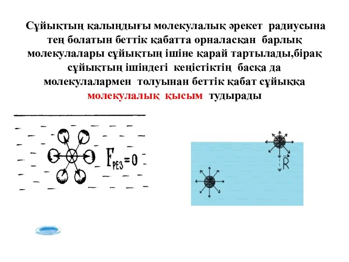 Сұйықтың қалыңдығы молекулалық әрекет радиусына тең болатын беттік қабатта орналасқан барлық