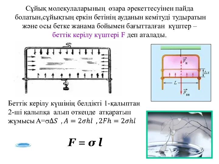 Сұйық молекулаларының өзара әрекеттесуінен пайда болатын,сұйықтың еркін бетінің ауданын кемітуді тудыратын