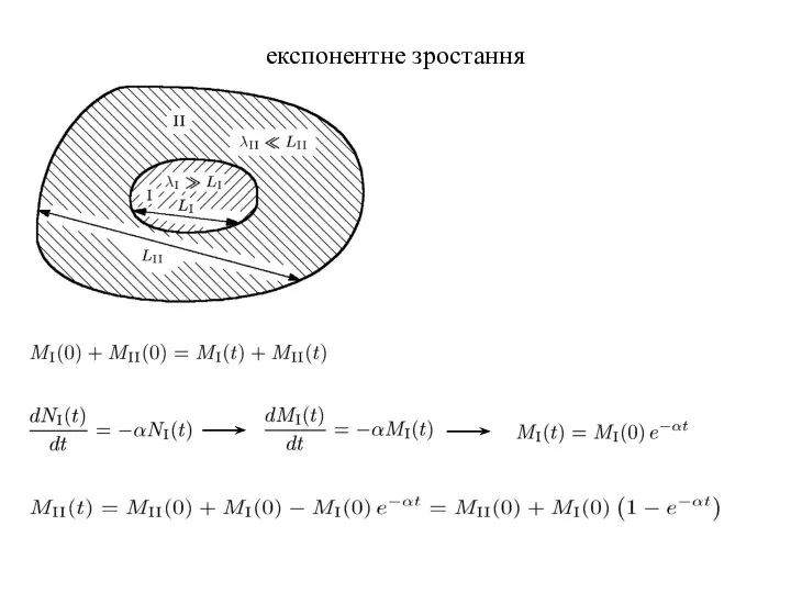 експонентне зростання