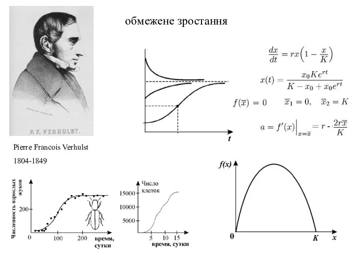 обмежене зростання Pierre Francois Verhulst 1804-1849