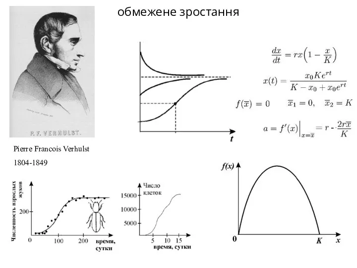 обмежене зростання Pierre Francois Verhulst 1804-1849