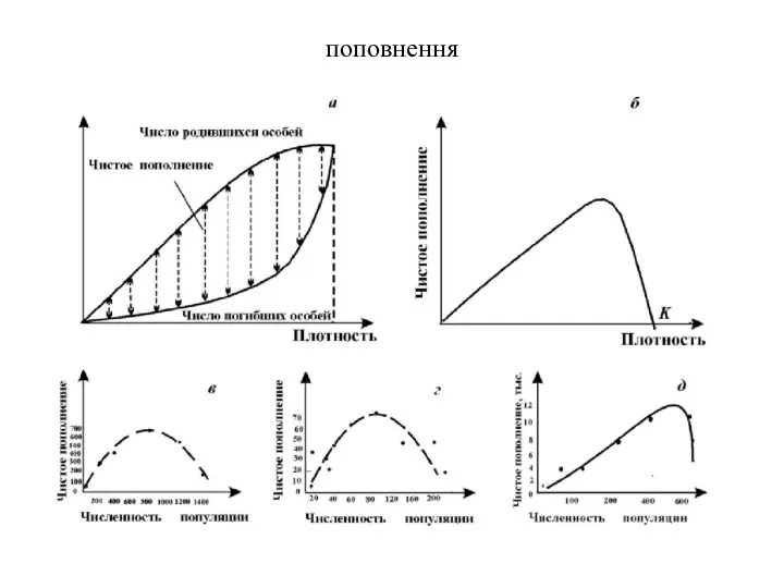 поповнення