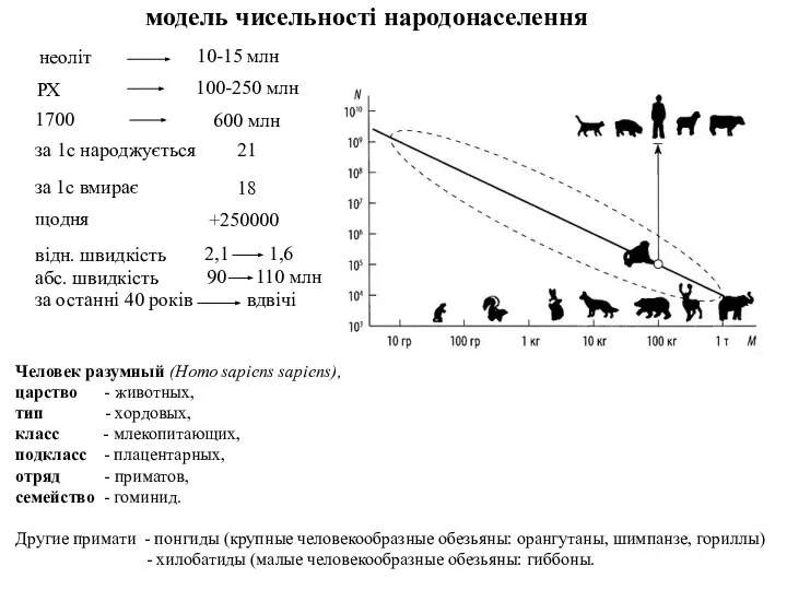 модель чисельності народонаселення 1700 600 млн за 1с народжується за 1с