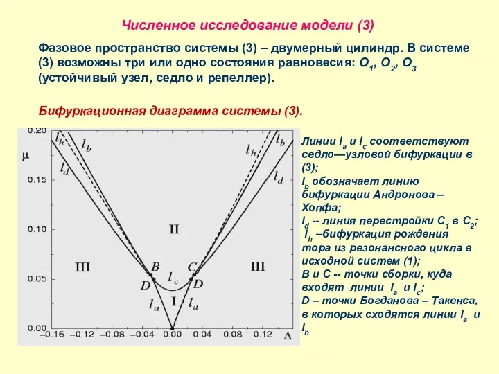 Численное исследование модели (3) Фазовое пространство системы (3) – двумерный цилиндр.