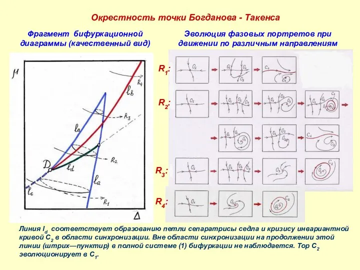 Окрестность точки Богданова - Такенса Фрагмент бифуркационной диаграммы (качественный вид) Эволюция
