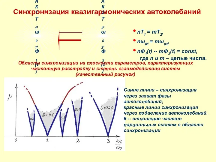 Синхронизация квазигармонических автоколебаний nT1 = mT2, nω01 = mω02, nΦ1(t) --