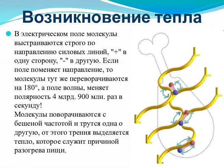 Возникновение тепла В электрическом поле молекулы выстраиваются строго по направлению силовых