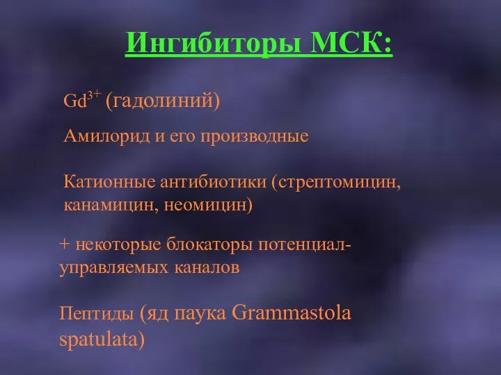 Ингибиторы МСК: Gd3+ (гадолиний) Амилорид и его производные Катионные антибиотики (стрептомицин,