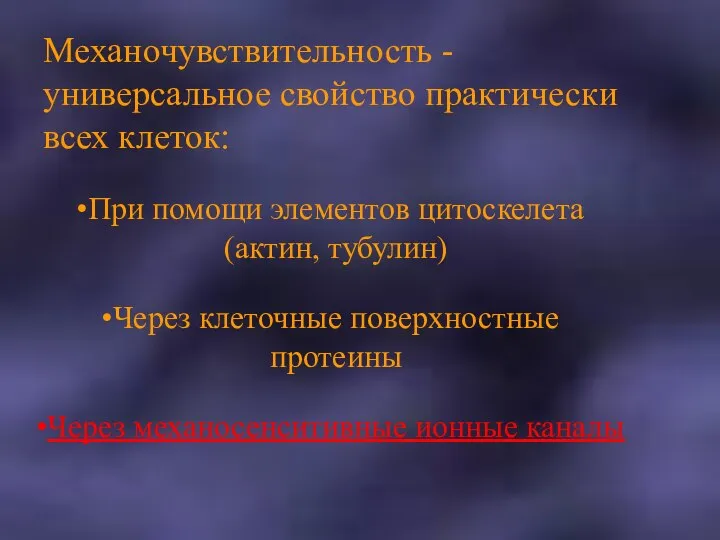 Механочувствительность - универсальное свойство практически всех клеток: При помощи элементов цитоскелета