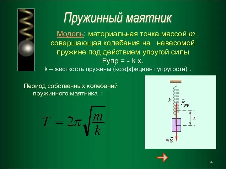 Пружинный маятник Модель: материальная точка массой m , совершающая колебания на