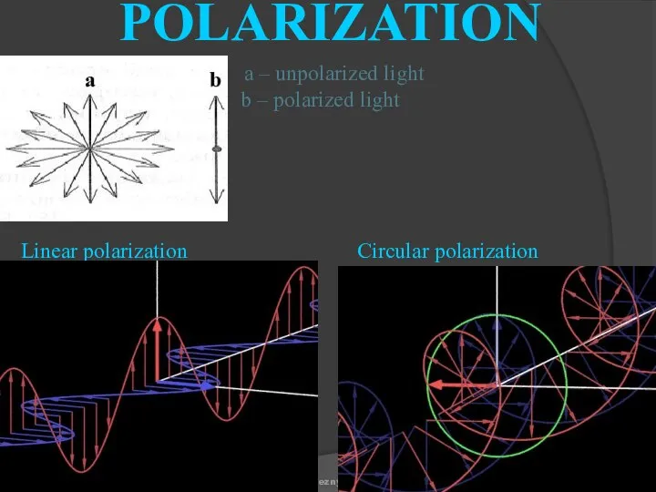 Linear polarization Circular polarization POLARIZATION Rieznyk a – unpolarized light b – polarized light