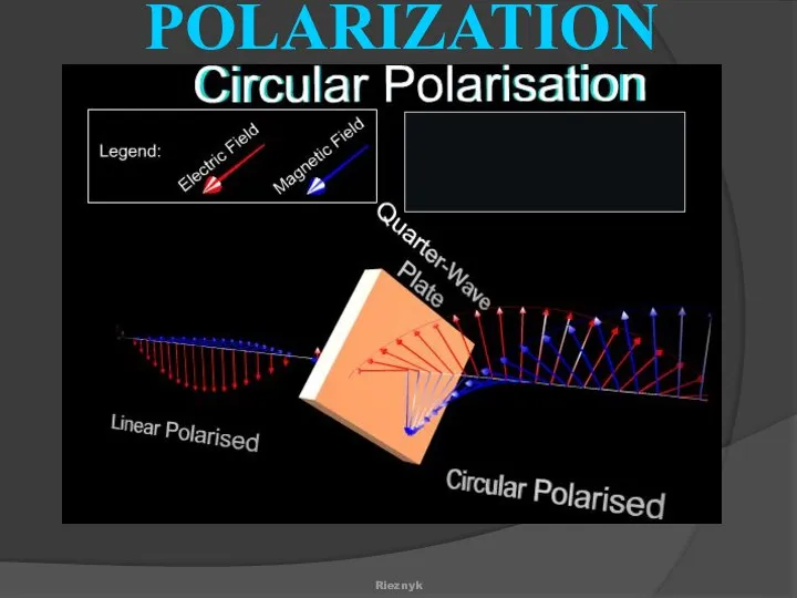 Rieznyk POLARIZATION