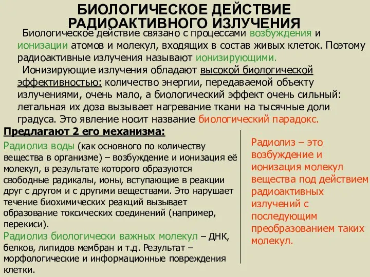 Радиолиз воды (как основного по количеству вещества в организме) – возбуждение