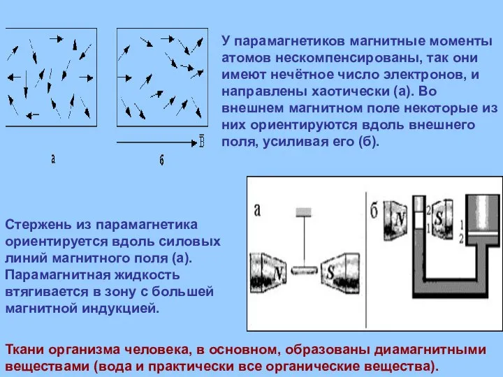 У парамагнетиков магнитные моменты атомов нескомпенсированы, так они имеют нечётное число