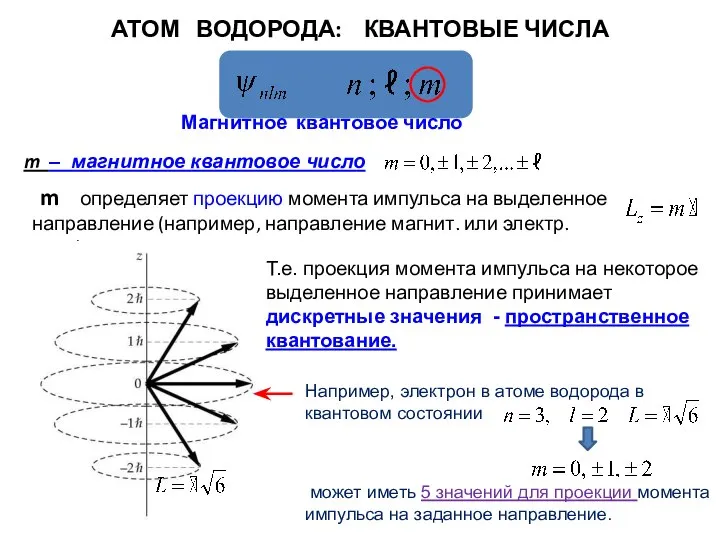 АТОМ ВОДОРОДА: КВАНТОВЫЕ ЧИСЛА Магнитное квантовое число Т.е. проекция момента импульса