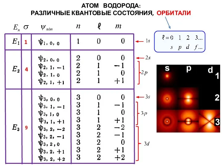 1 4 9 АТОМ ВОДОРОДА: РАЗЛИЧНЫЕ КВАНТОВЫЕ СОСТОЯНИЯ, ОРБИТАЛИ