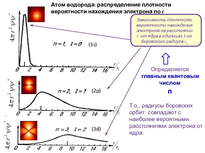 Атом водорода: распределение плотности вероятности нахождения электрона по r Т.о., радиусы