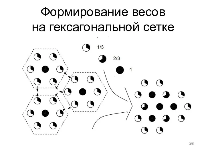 Формирование весов на гексагональной сетке