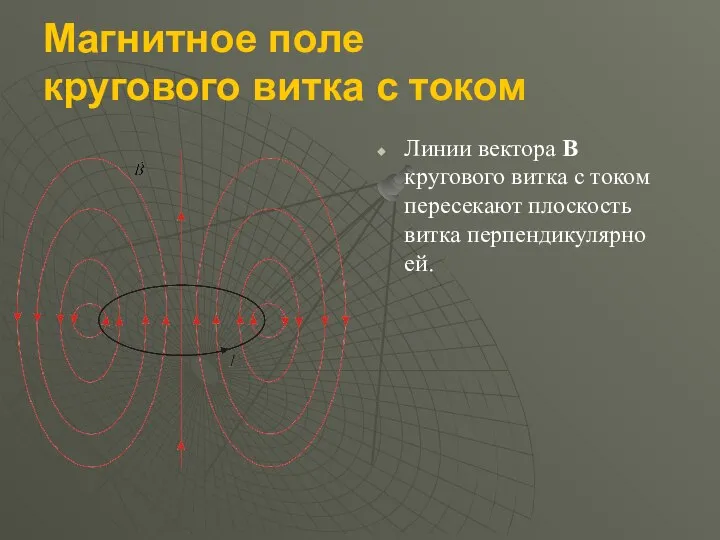 Магнитное поле кругового витка с током Линии вектора B кругового витка