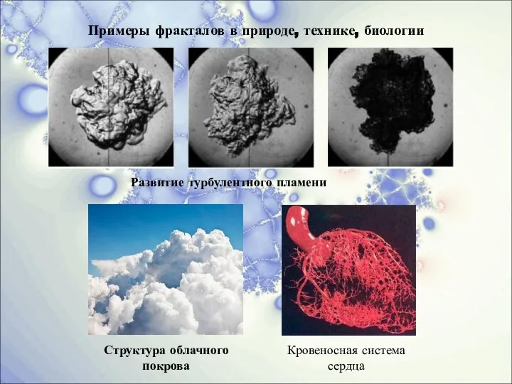 Примеры фракталов в природе, технике, биологии Развитие турбулентного пламени Структура облачного покрова Кровеносная система сердца