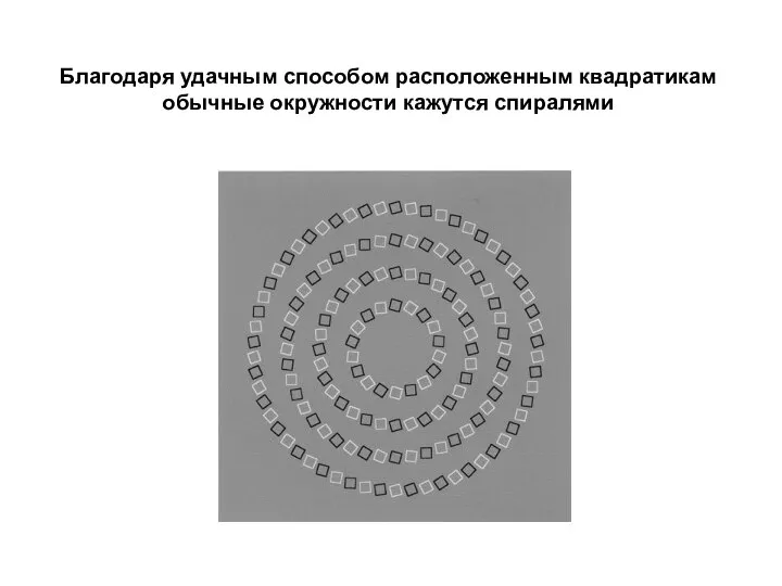 Благодаря удачным способом расположенным квадратикам обычные окружности кажутся спиралями