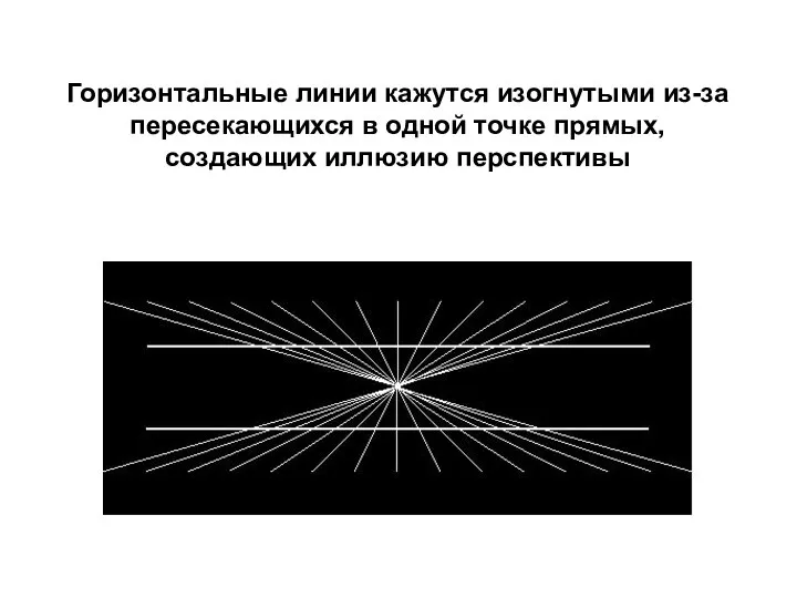 Горизонтальные линии кажутся изогнутыми из-за пересекающихся в одной точке прямых, создающих иллюзию перспективы