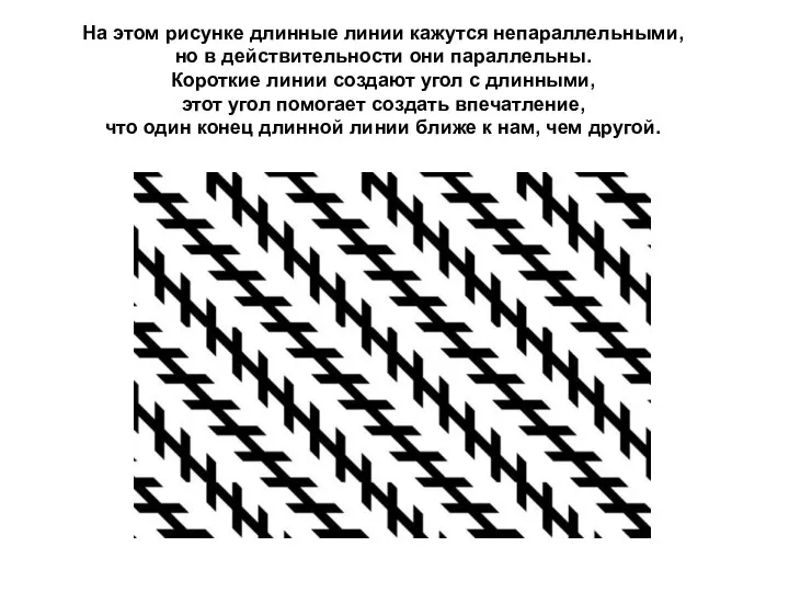 На этом рисунке длинные линии кажутся непараллельными, но в действительности они