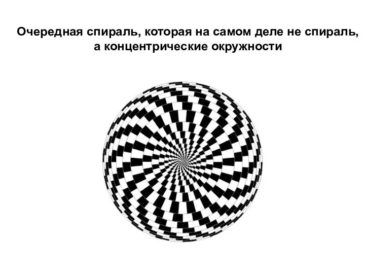 Очередная спираль, которая на самом деле не спираль, а концентрические окружности