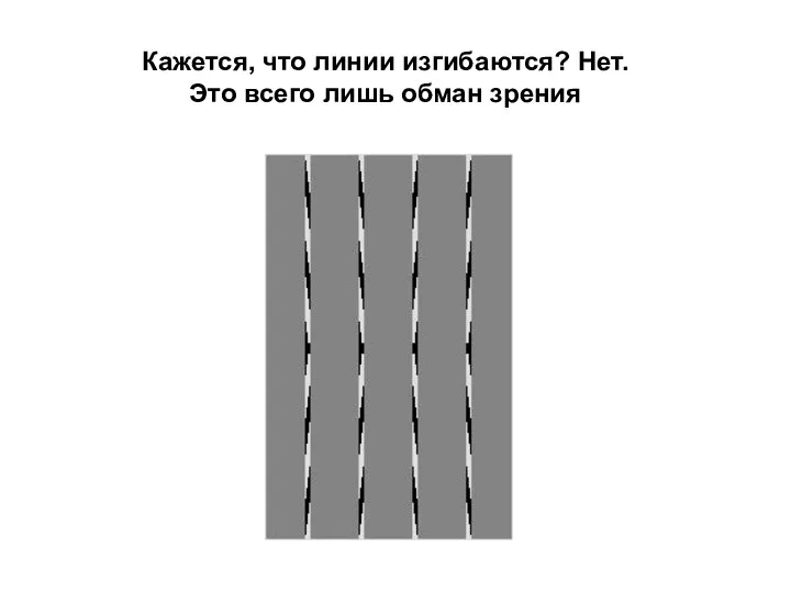 Кажется, что линии изгибаются? Нет. Это всего лишь обман зрения