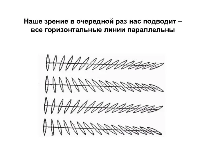 Наше зрение в очередной раз нас подводит – все горизонтальные линии параллельны