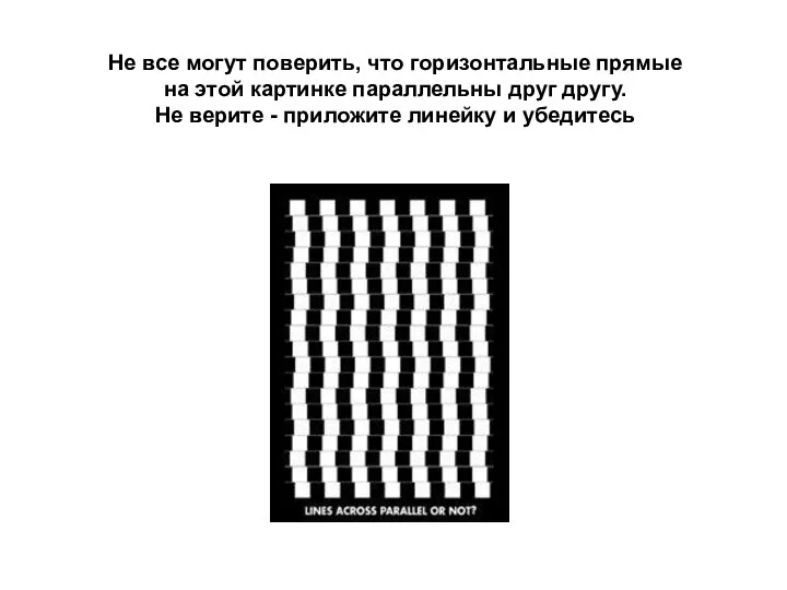 Не все могут поверить, что горизонтальные прямые на этой картинке параллельны