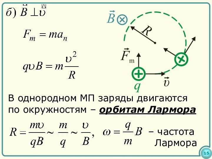 15 В однородном МП заряды двигаются по окружностям – орбитам Лармора