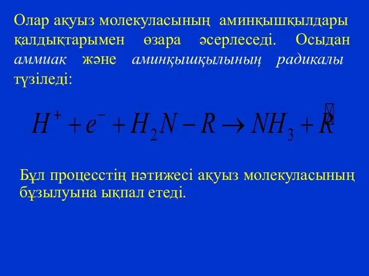 Олар ақуыз молекуласының аминқышқылдары қалдықтарымен өзара әсерлеседі. Осыдан аммиак және аминқышқылының