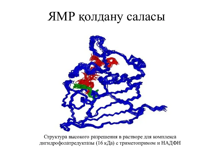 ЯМР қолдану саласы Структура высокого разрешения в растворе для комплекса дигидрофолатредуктазы