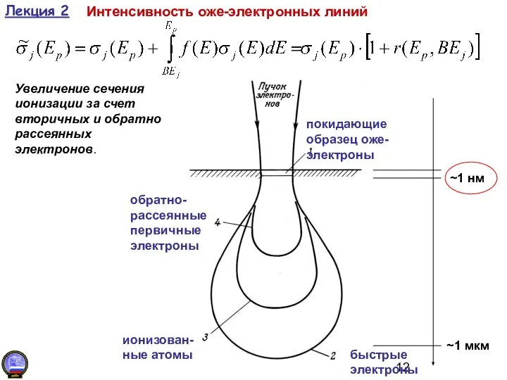 Лекция 2 Интенсивность оже-электронных линий Увеличение сечения ионизации за счет вторичных