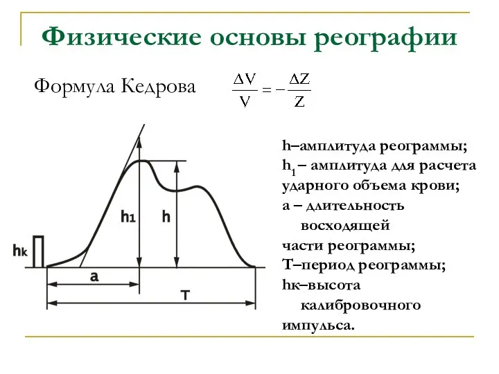 Физические основы реографии h–амплитуда реограммы; h1 – амплитуда для расчета ударного