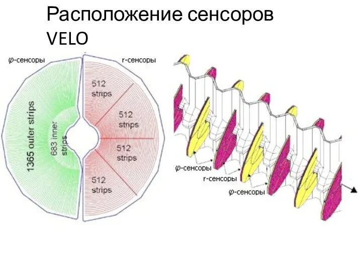 Расположение сенсоров VELO