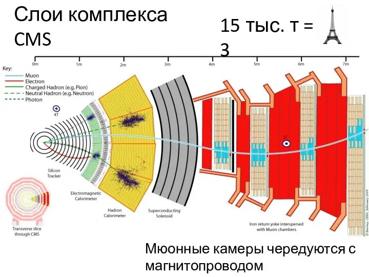 Слои комплекса CMS Мюонные камеры чередуются с магнитопроводом 15 тыс. т = 3