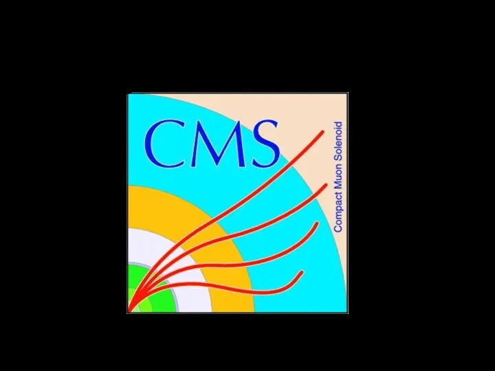 В комплексе CMS МП меняет знак ⇒ S – образная траектория мюонов