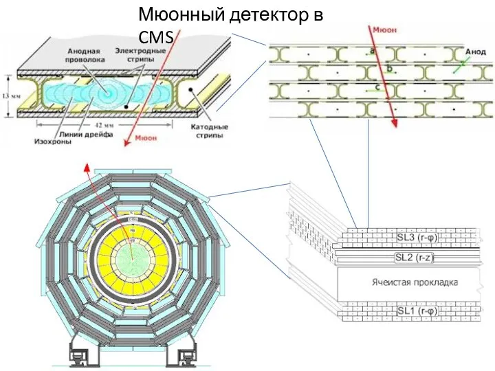 Мюонный детектор в CMS