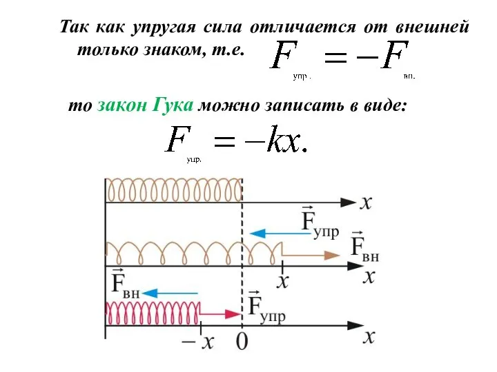 Так как упругая сила отличается от внешней только знаком, т.е. то