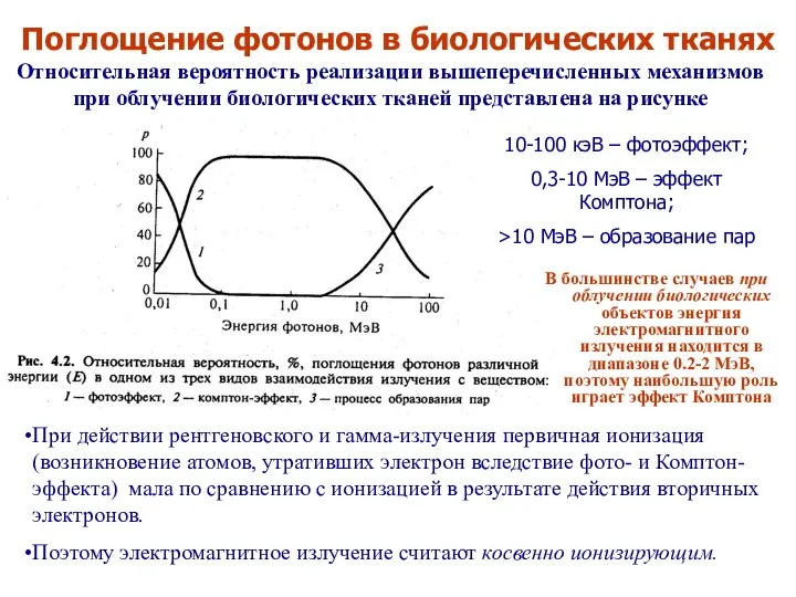 10-100 кэВ – фотоэффект; 0,3-10 МэВ – эффект Комптона; >10 МэВ