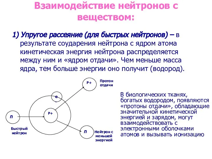 Взаимодействие нейтронов с веществом: 1) Упругое рассеяние (для быстрых нейтронов) –