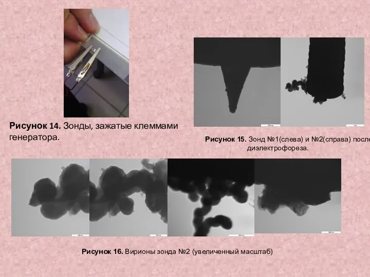 Рисунок 14. Зонды, зажатые клеммами генератора. Рисунок 15. Зонд №1(слева) и