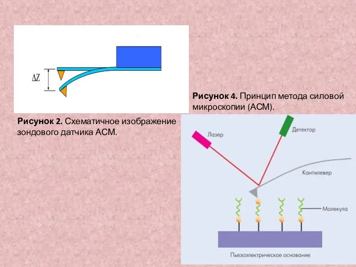 Рисунок 2. Схематичное изображение зондового датчика АСМ. Рисунок 4. Принцип метода силовой микроскопии (АСМ).