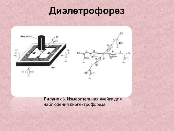 Диэлетрофорез Рисунок 6. Измерительная ячейка для наблюдения диэлектрофореза.